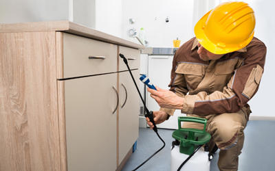 spraying a kitchen in Oakville